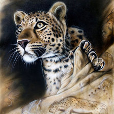 Схема вышивки «№288269»