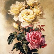 Схема вышивки «розы»