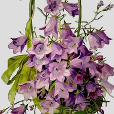 Схема вышивки «колокольчики»