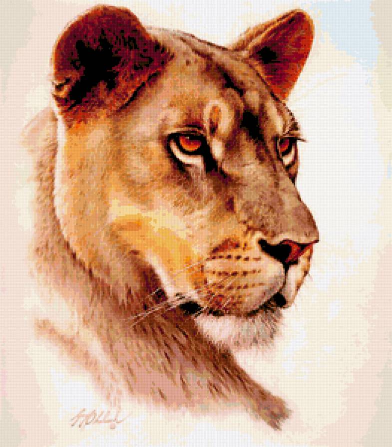 Львица - звери, львы, животные - предпросмотр