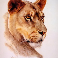 Схема вышивки «Львица»