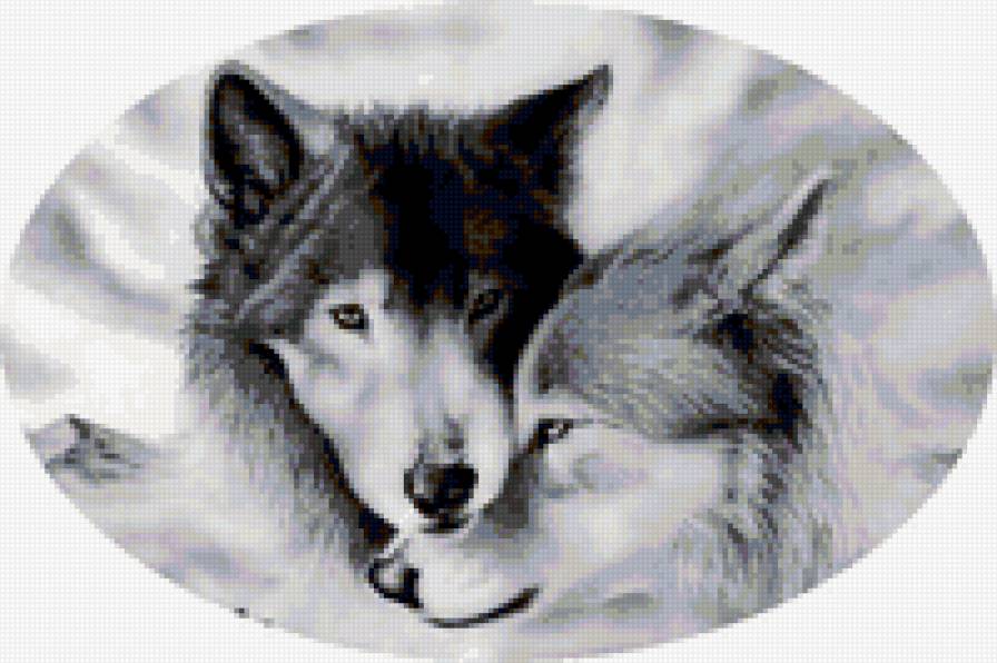 волки - природа, волки - предпросмотр