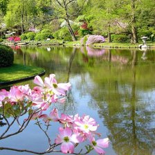 Схема вышивки «№288446»