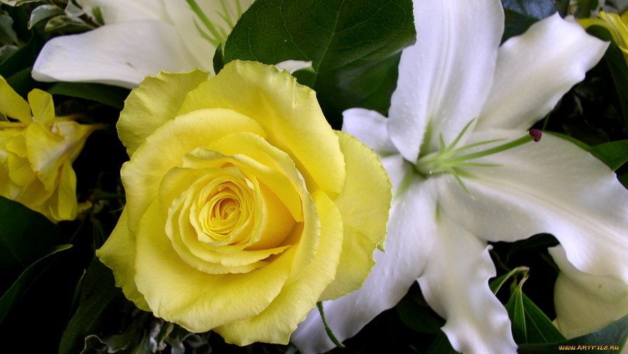 8 - цветы, букет - оригинал