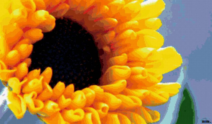 №288501 - букеты, розы, цветы - предпросмотр