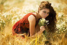 Схема вышивки «№288510»