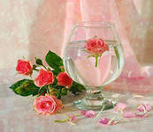 Схема вышивки «№288527»