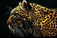 Схема вышивки «№288619»