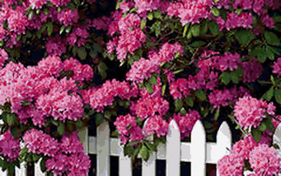 №288634 - цветы, букеты, розы - предпросмотр