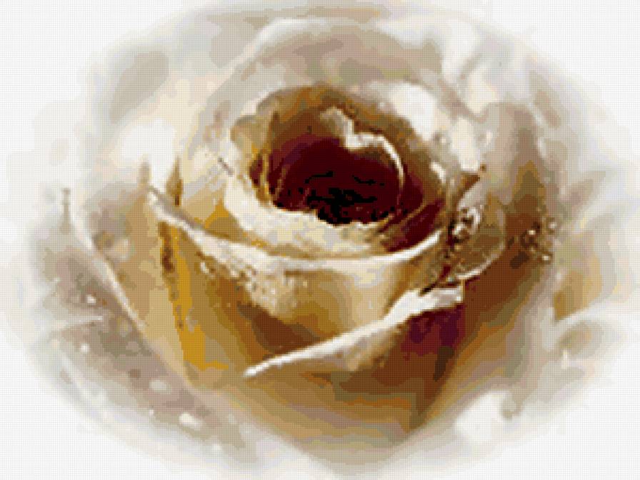 №288661 - цветы, розы, букеты - предпросмотр