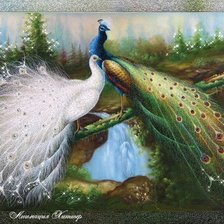 Схема вышивки «жар-птица»