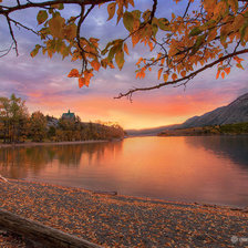 Схема вышивки «природа»