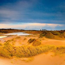 Схема вышивки «серия "природа"»