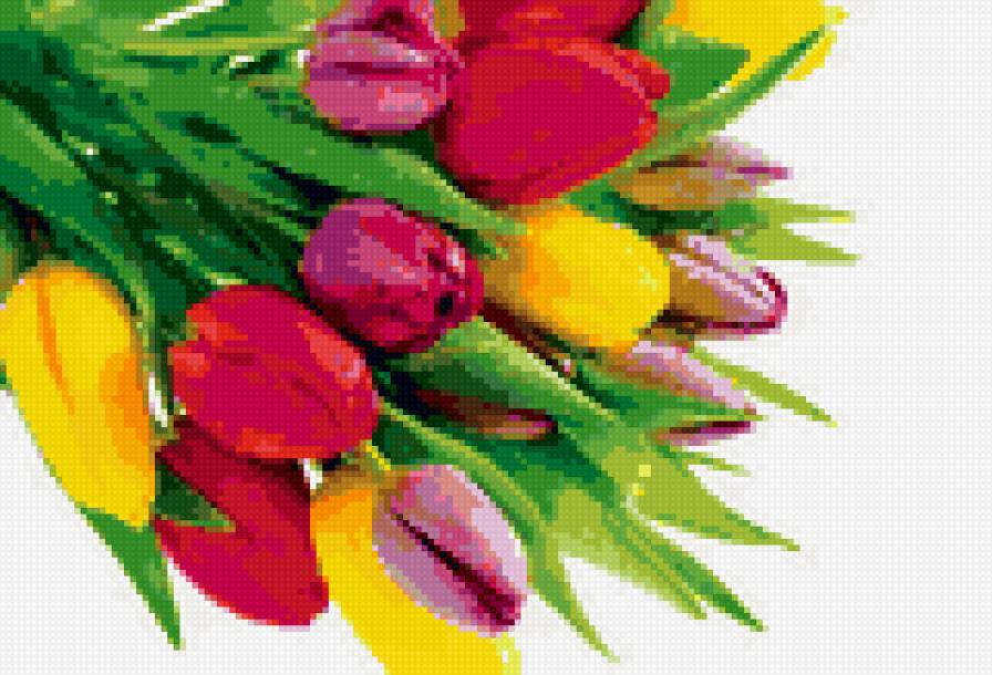 тюльпаны - цветы, тюльпан, букет - предпросмотр