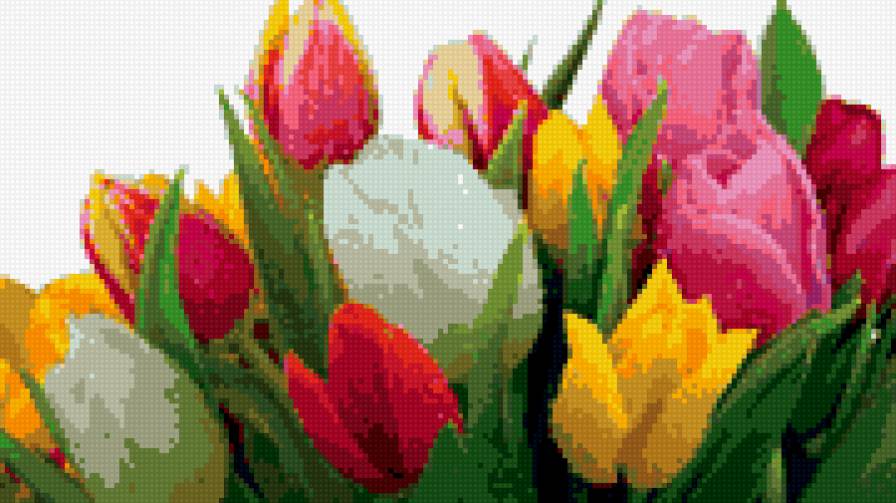 тюльпаны - букет, тюльпаны, цветы - предпросмотр