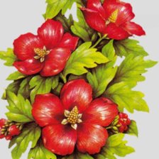 Схема вышивки «красные цветы»