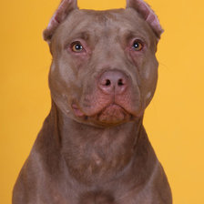 Схема вышивки «30цветов»