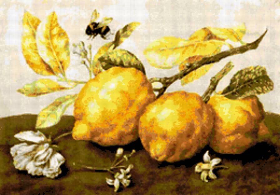 лимоны - предпросмотр