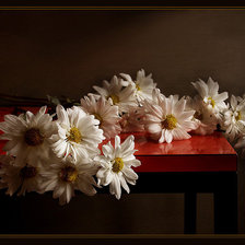 Схема вышивки «Ромашки»