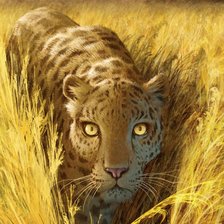 Схема вышивки «Леопард»