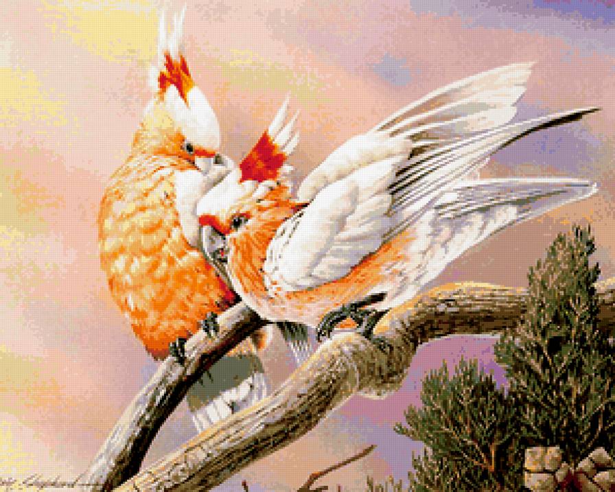 птички-невелички - птицы - предпросмотр