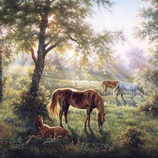 Схема вышивки «красота»