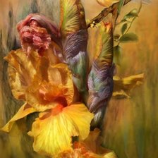 Схема вышивки «ирис,птица»