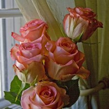 Схема вышивки «розы»