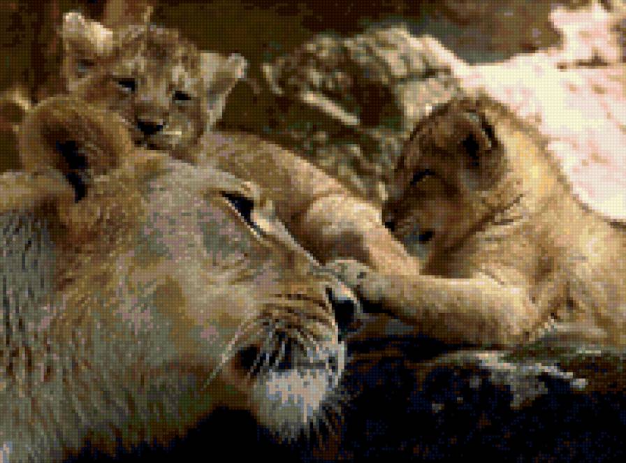 №289907 - котэ, животные - предпросмотр