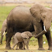 Схема вышивки «№289912»