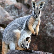 Схема вышивки «№289915»