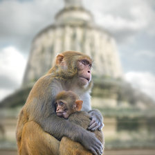 Схема вышивки «№289917»