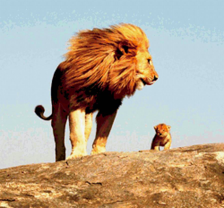 №289919 - котэ, животные - предпросмотр