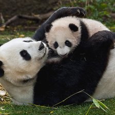 Схема вышивки «№289920»