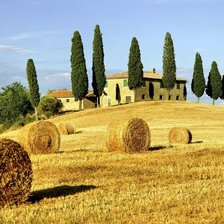 Схема вышивки «серия "природа"»