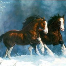 Схема вышивки «Лошади»