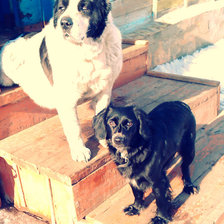 Схема вышивки «№289974»