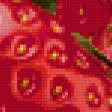 Предпросмотр схемы вышивки «Клубничка» (№290053)
