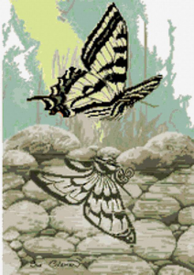 бабочка - бабочка - предпросмотр