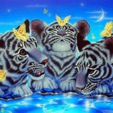 Схема вышивки «№290393»