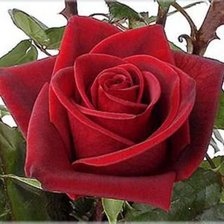 Схема вышивки «№290401»