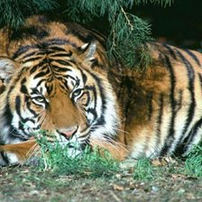 Схема вышивки «№290412»