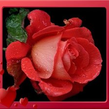 Схема вышивки «№290413»