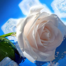 Схема вышивки «№290423»