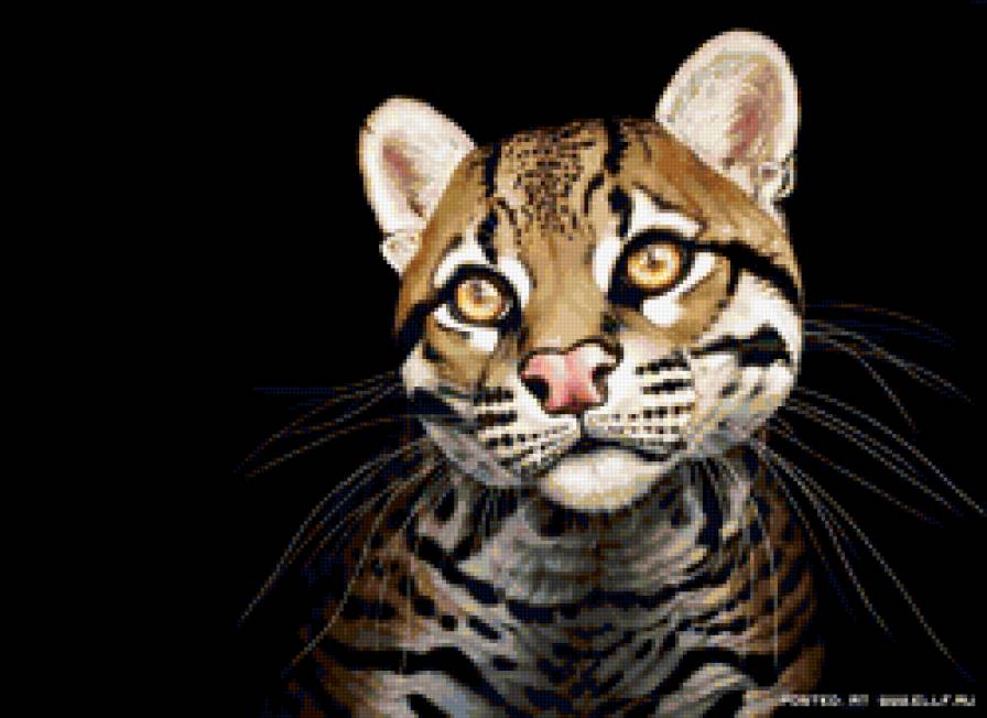 №290487 - кошка, картина - предпросмотр