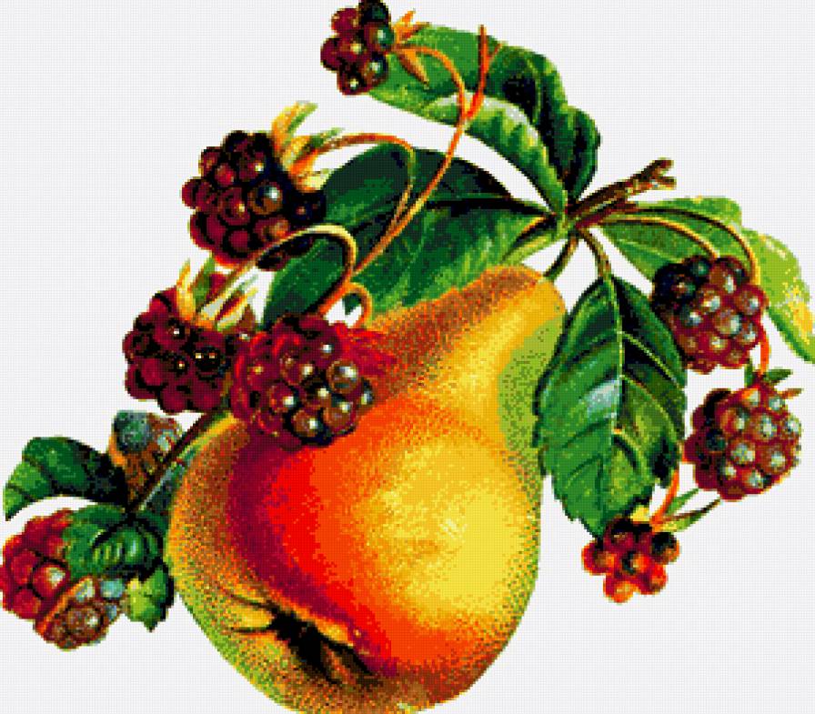 груша - предпросмотр