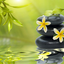 Схема вышивки «Спа»