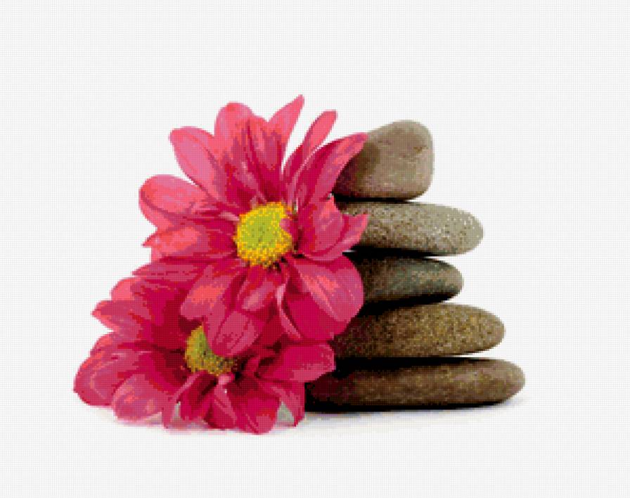 Спа - цветы, камушки, spa - предпросмотр