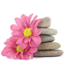 Схема вышивки «Спа»