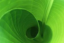 Схема вышивки «№290531»